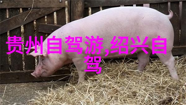 西安亲子游览指南探索历史文化与儿童教育的融合之旅