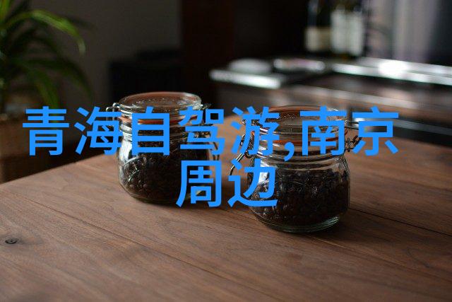 品味四方揭秘各地特色美食小吃的诱惑