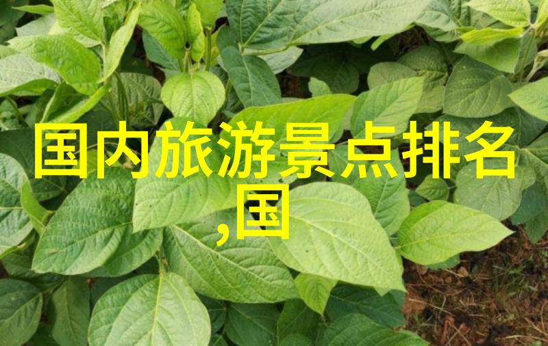 国内最大的军用帐篷厂-巨龙帐篷守护国防的隐形英雄