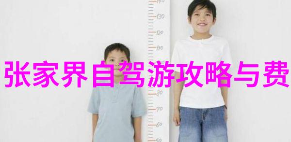 探索世界选择最佳出国旅行团应用