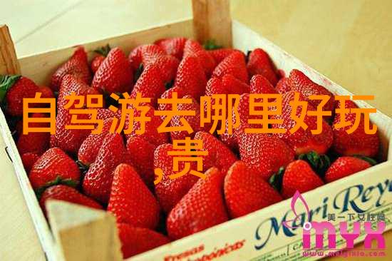 极速骑行4中文设置攻略解锁游戏全程中文字体