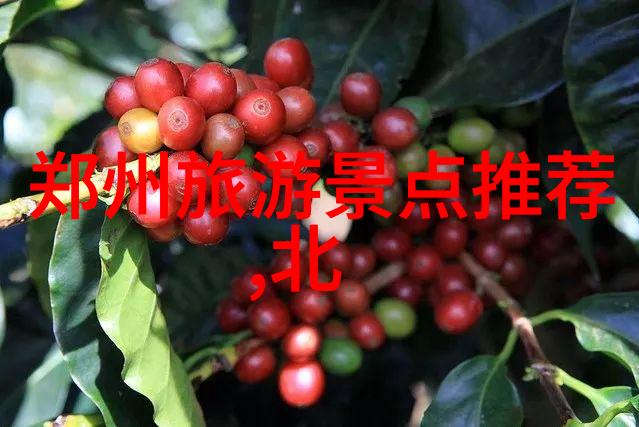 海外梦想的迷雾2022年出国旅游的新规与挑战