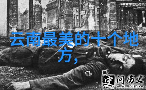 忘忧草影院免费观看全集