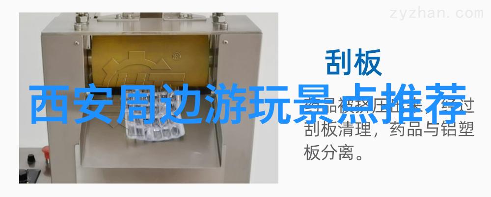 出国旅行的新常态2021年国际旅行指南