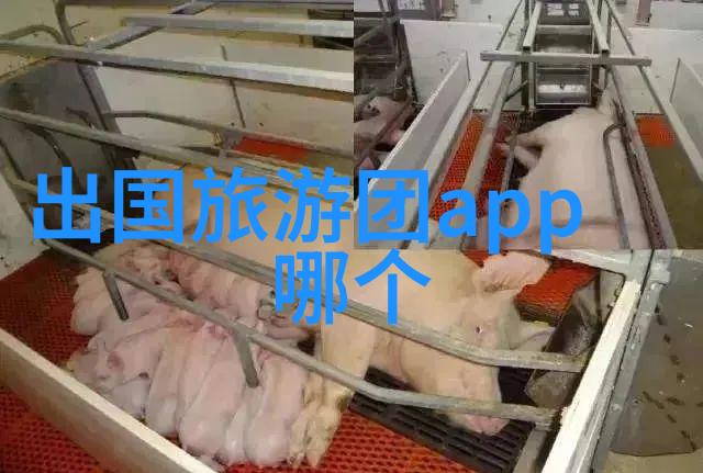 探索全球美景旅游好玩的地方推荐