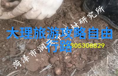中国十大仙境之谜哪一处能让人心旷神怡