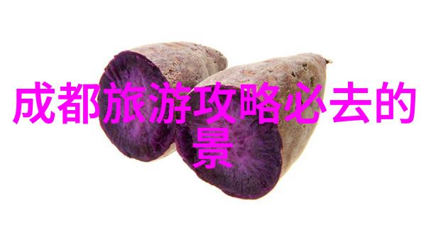文学奇迹-跨越千亿字的想象之旅100000000000字作文的无限可能