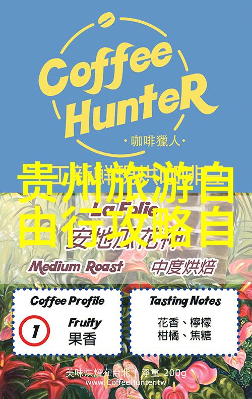 西部边陲探秘在西北地区可以体验什么样的民俗文化