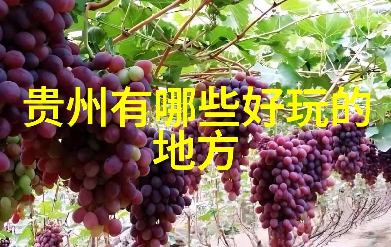 苏州景点推荐我来带你玩转苏州的那些美丽角落