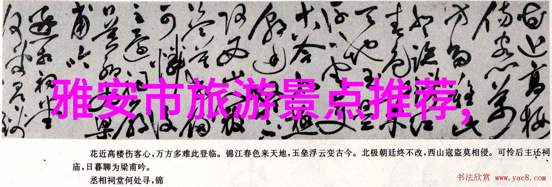 上海夜市小吃街味蕾的盛宴