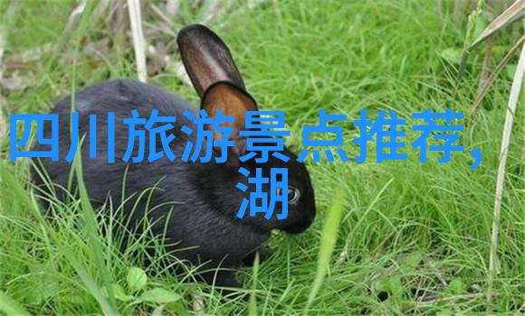 探秘古都我的600字游记