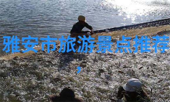 春意盎然的五一自驾游探秘国门边缘的隐秘风景