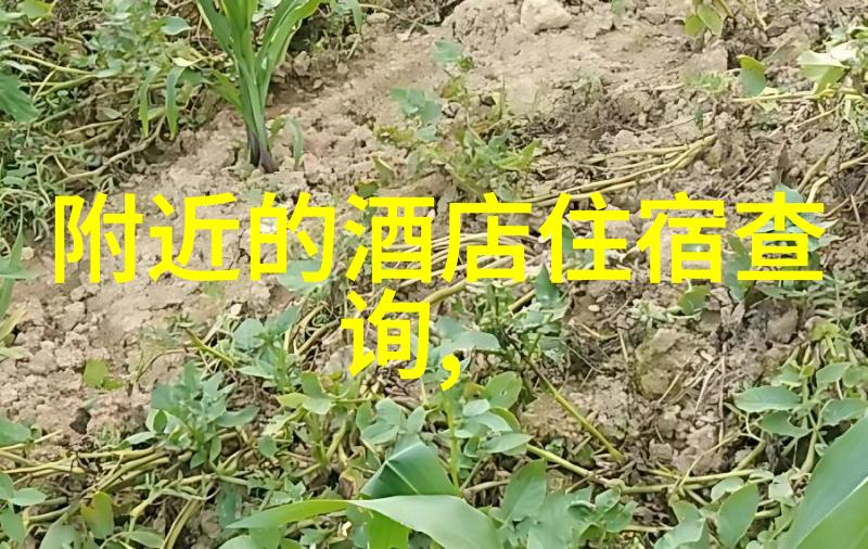 夏日狂欢探索户外乐趣之旅