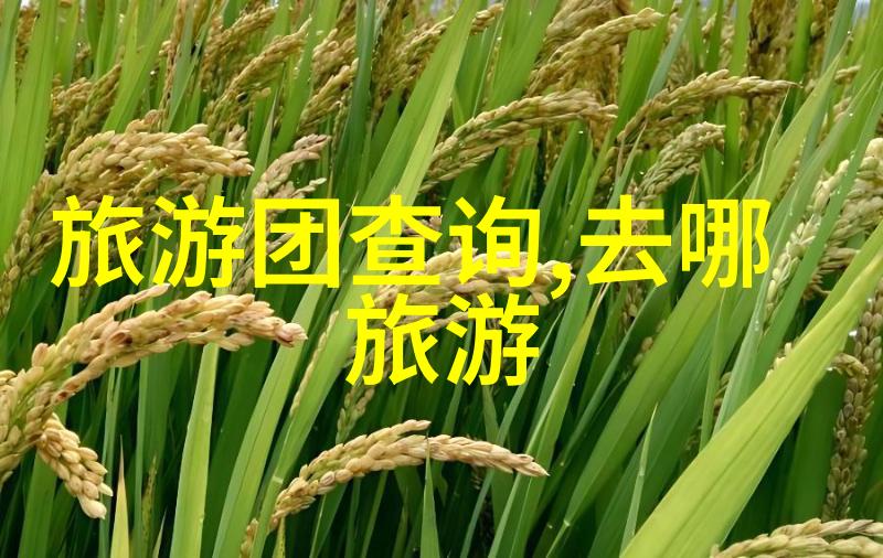 水上运动真的适合初学者吗我该如何选择