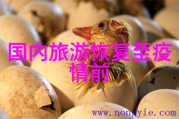 春暖花开的国内旅行推荐三四月最佳旅游地