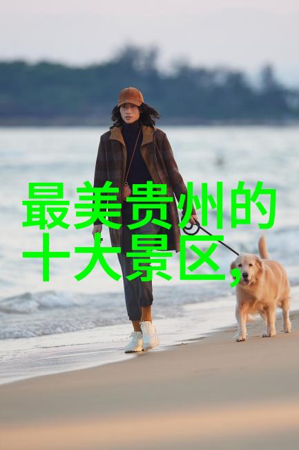 初学者应该如何调整和调试自己的入门级公路车以提升骑行体验