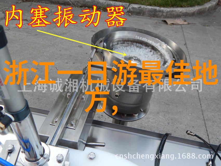 探索大自然大班幼儿户外游戏大全100个激发孩子们的好奇心与活力