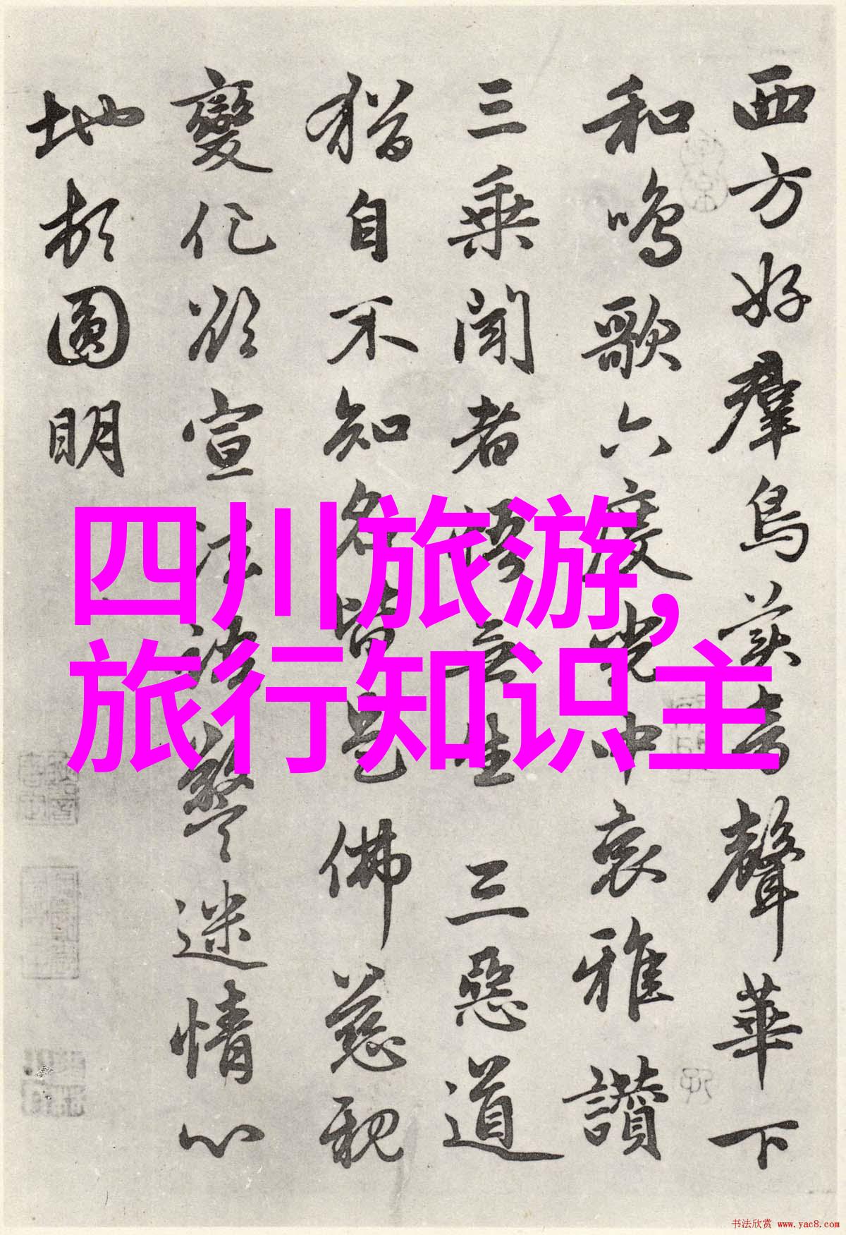 旅途省钱秘籍选择这十个景点能让你的暑假更加经济实惠吗