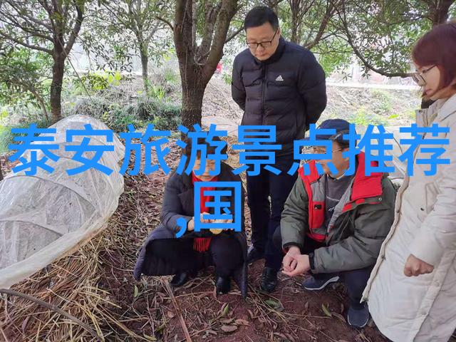 江门之谜揭秘十大迷人景点