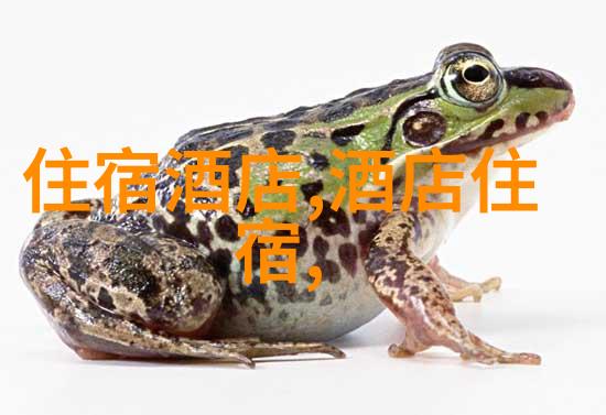 秘境探秘揭开十一黄金周内陆奇迹的面纱