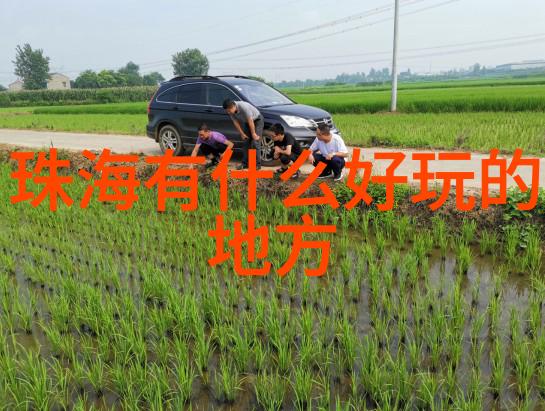 户外生活小知识野餐用品打包秘诀