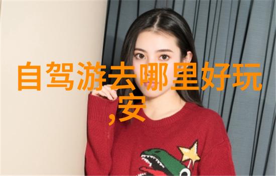 中国11月复苏外国人入境政策新篇章与挑战共存