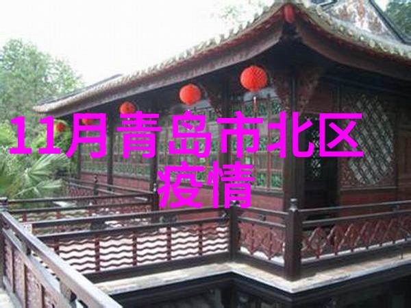 出国必备手续指南从护照到旅行证笑料盈盈的边境冒险