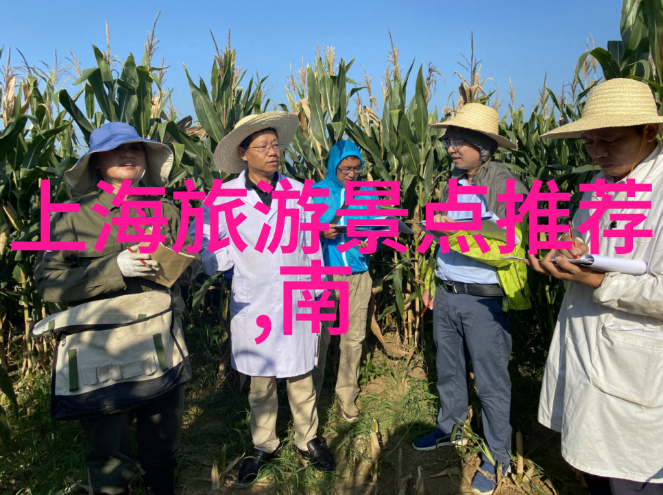 贵州美景绚烂探秘黄果树大瀑布印象西江千古情纳雍湖畔的翠峦与水国之光
