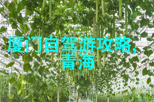 自自由之翼下的寻觅者关于一位年轻人在夜幕下的骑行故事