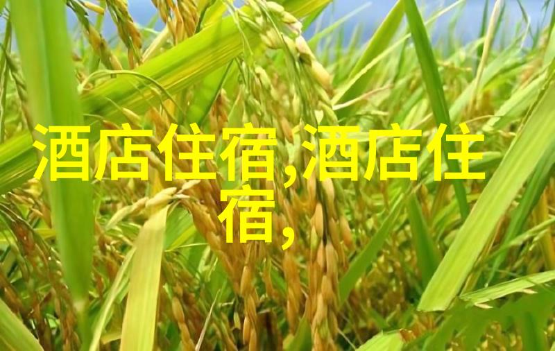骑行与跑步哪个更佳选择最佳运动方式
