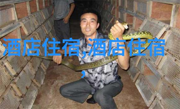 长沙周边自驾游揭秘那些隐藏的奇迹与未解之谜