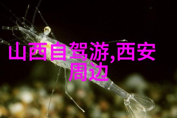 北京私密饕餮之冠寻找那一家顶级的餐桌美食盛宴