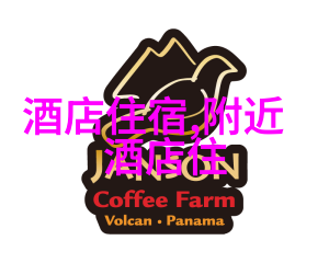 骑行人群的共同特征与个体差异