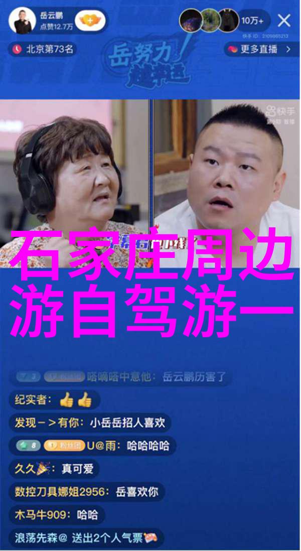 探索迷失的美丽西藏高原之旅