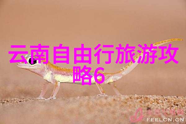 郑州最有名夜市小吃街品味风味忆往昔