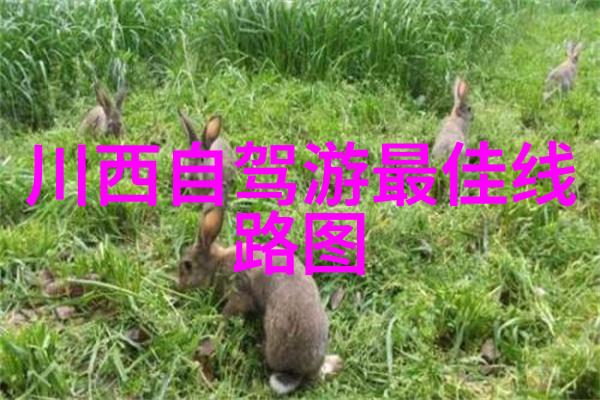 重生凤女追夫忙逆袭情缘的绚烂篇章