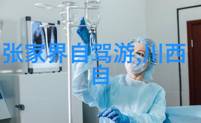 如何去探索并体验一次完整的南京美食文化之旅