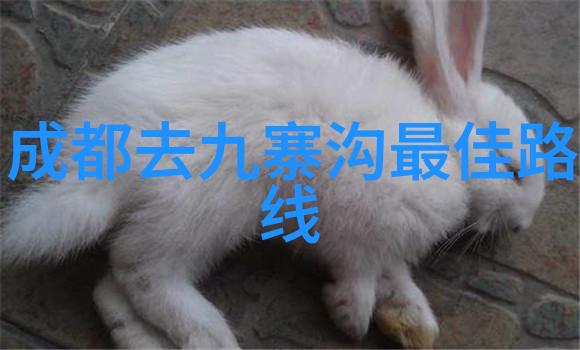 成都四天游探索茶香与剑门峡的魅力