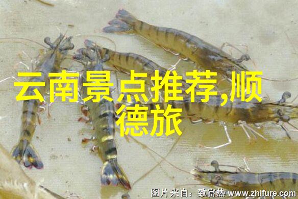 中国好去处带你游览全国十大美丽景区