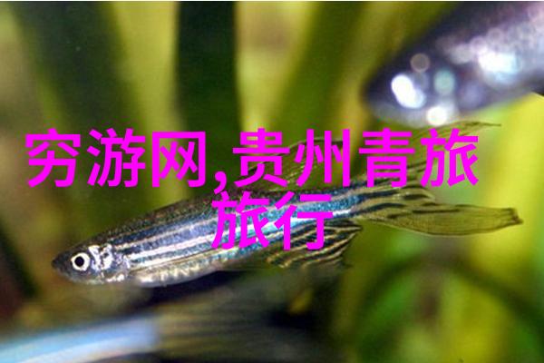 青藏高原之冠甘南的秘密宝地探秘