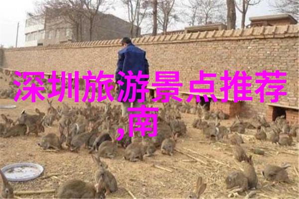 探索风景旅游论文写作指南