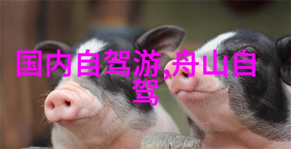 China Tourism News Network How Can We Promote Sust