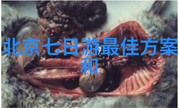 8月旅游最适合的城市我来告诉你一个秘密夏日炎炎你别急着去热浪如潮的城市而是要找个既有海滩又不至于太热