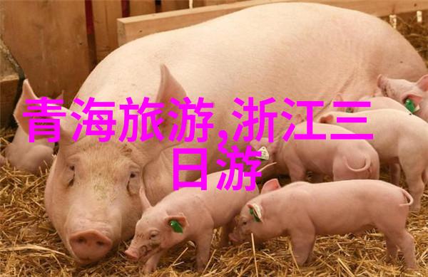 南京周边自驾游探秘之旅揭秘古都背后的美丽风光