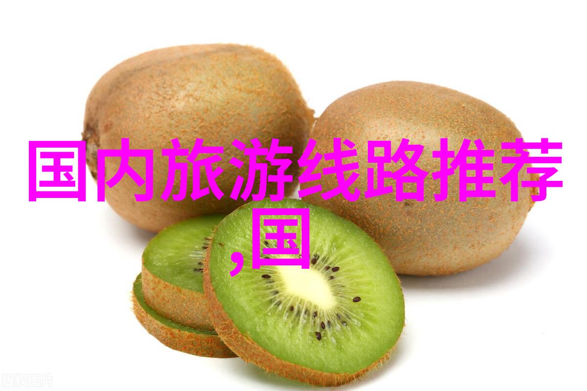 探索自然的乐趣户外活动小游戏大汇总