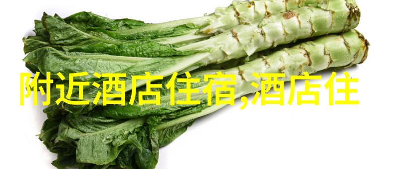 扬州民宿住宿攻略揭秘那些只在梦里才能遇见的江南水乡小确幸