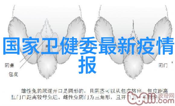探秘花海中的宝藏合肥园林之美