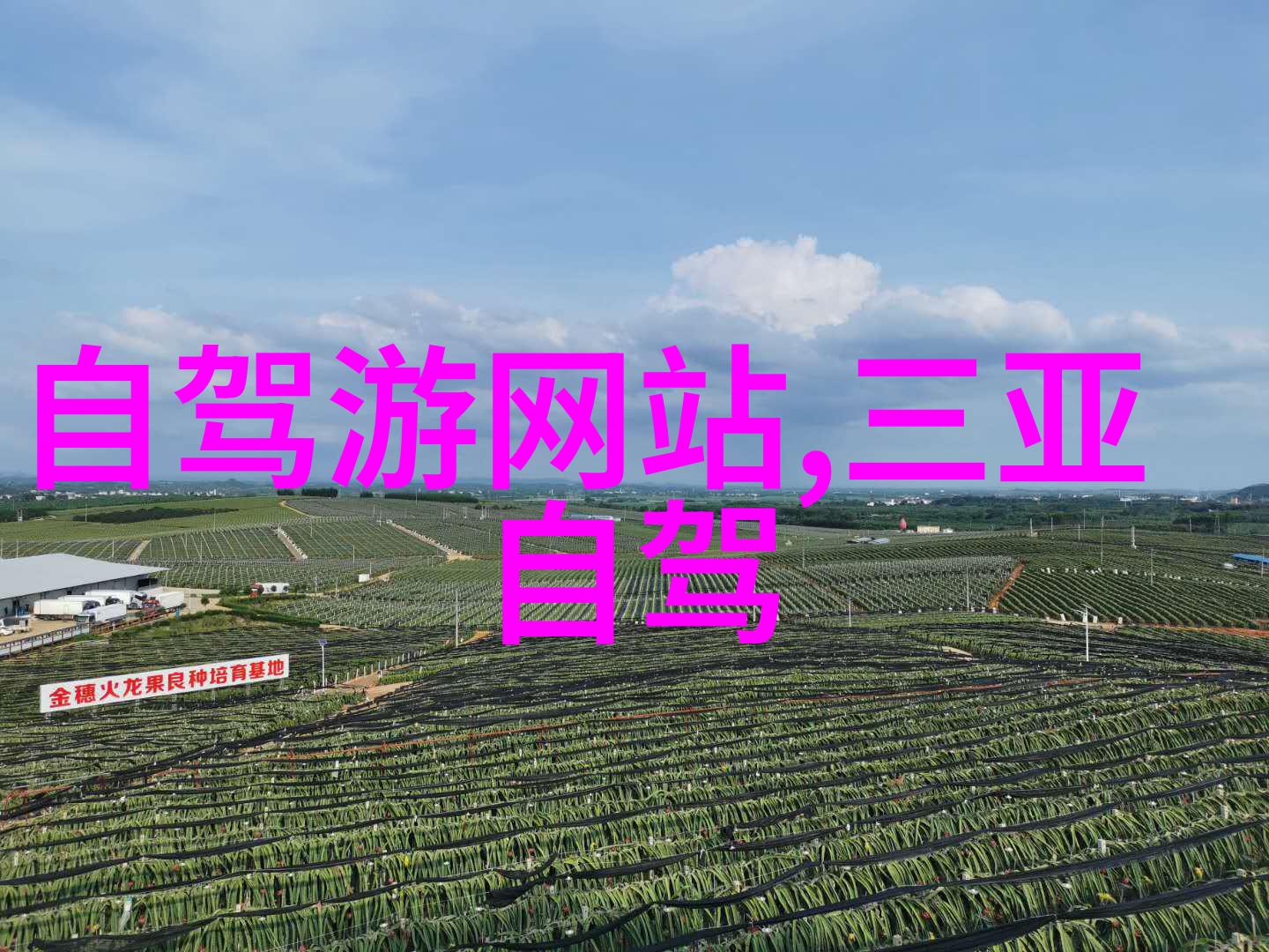 跨越国界而非道路未来世界上会有一个全球性的统一的大骑行网吗