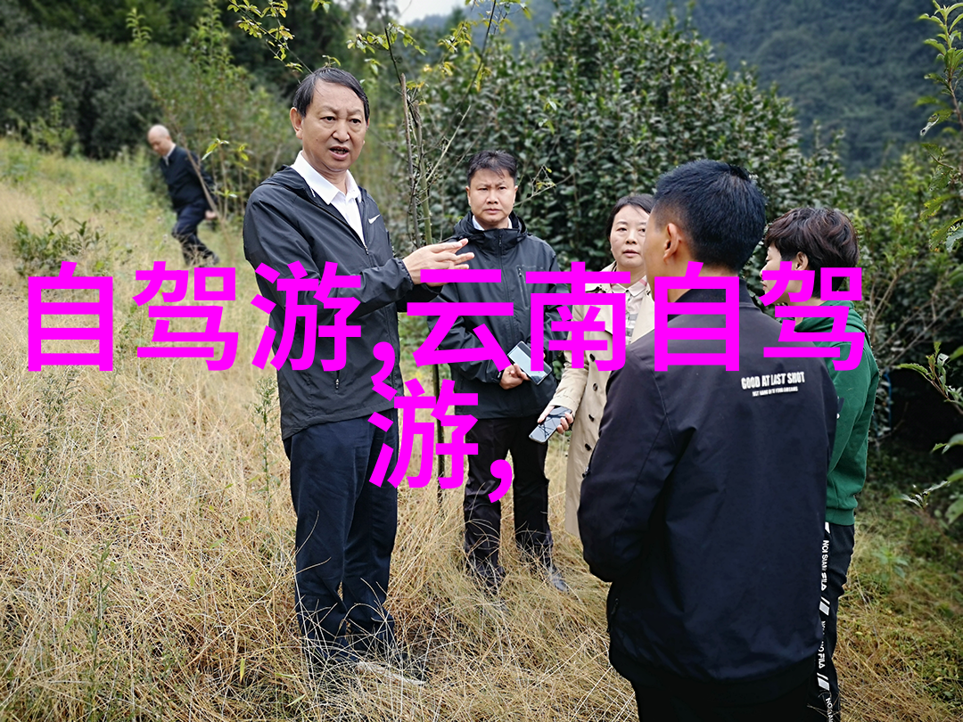 云南十大景点必去指南让你的旅行像云南的美景一样既迷人又不失风情