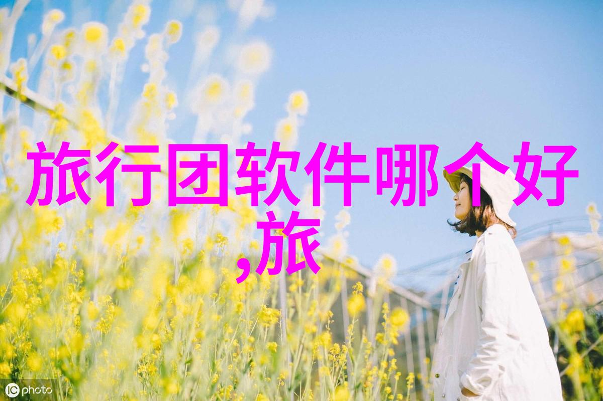 上海美食之争从巷尾小吃到高档盛宴的味蕾大冒险
